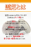日本製造 JAPAN CHEMIST 霊芝丸 (約25日分 100粒) 增強免疫力、抗氧化、抗衰老